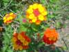 dsc04976_small.jpg