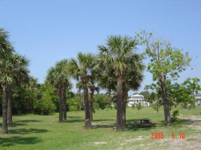 dsc04990.jpg