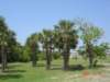 dsc04990_small.jpg