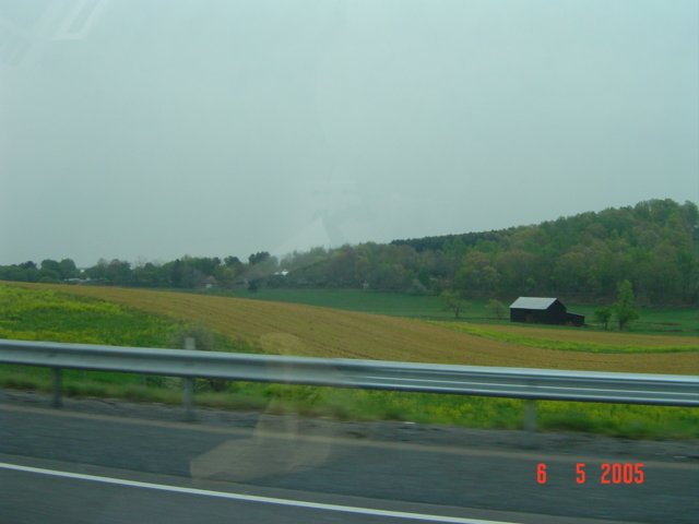 dsc06221.jpg
