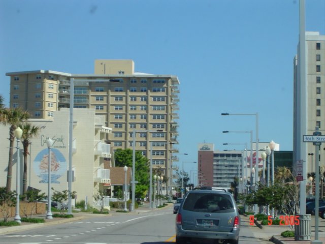 dsc07374.jpg