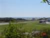 dsc07384_small.jpg