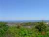 dsc07398_small.jpg
