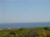 dsc07404_small.jpg