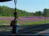dsc07465_small.jpg