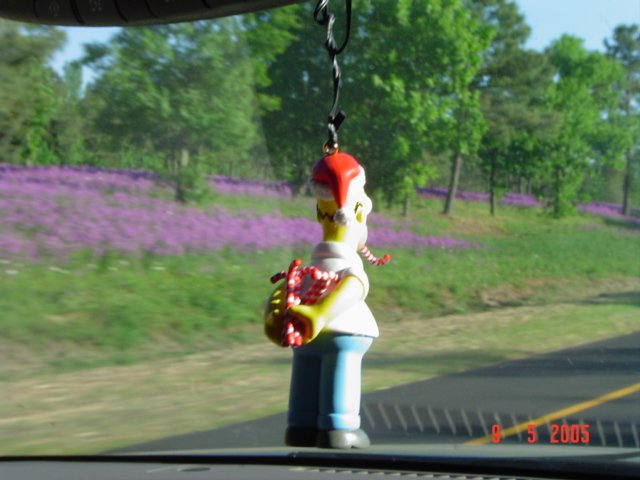 dsc07466.jpg