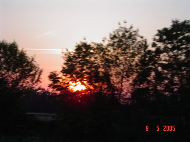 dsc07481.jpg