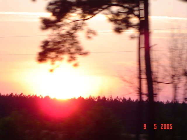 dsc07484.jpg