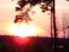 dsc07484_small.jpg