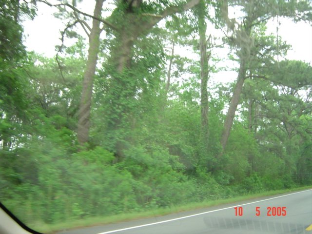 dsc07631.jpg